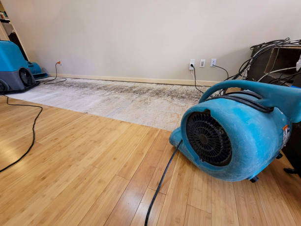Professional Structural Drying technician working in Sunny Side, GA